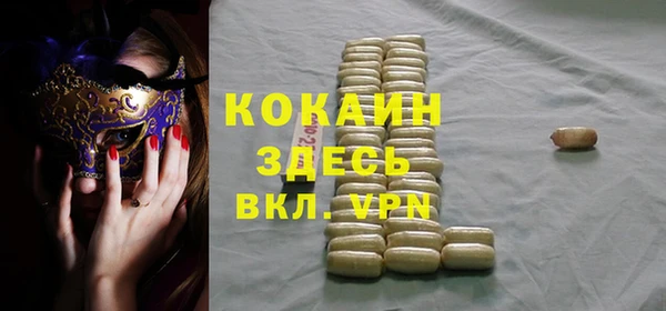 дживик Осинники