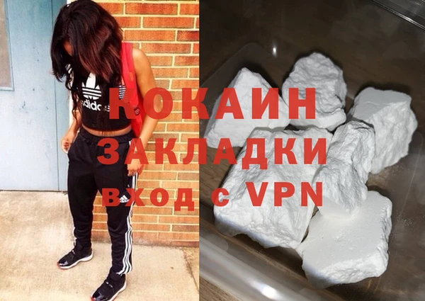 индика Осташков